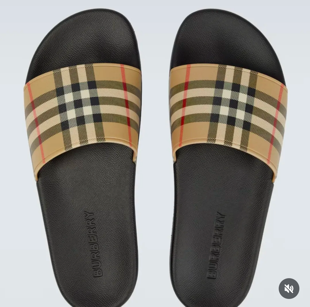 B BERRY SLIDES