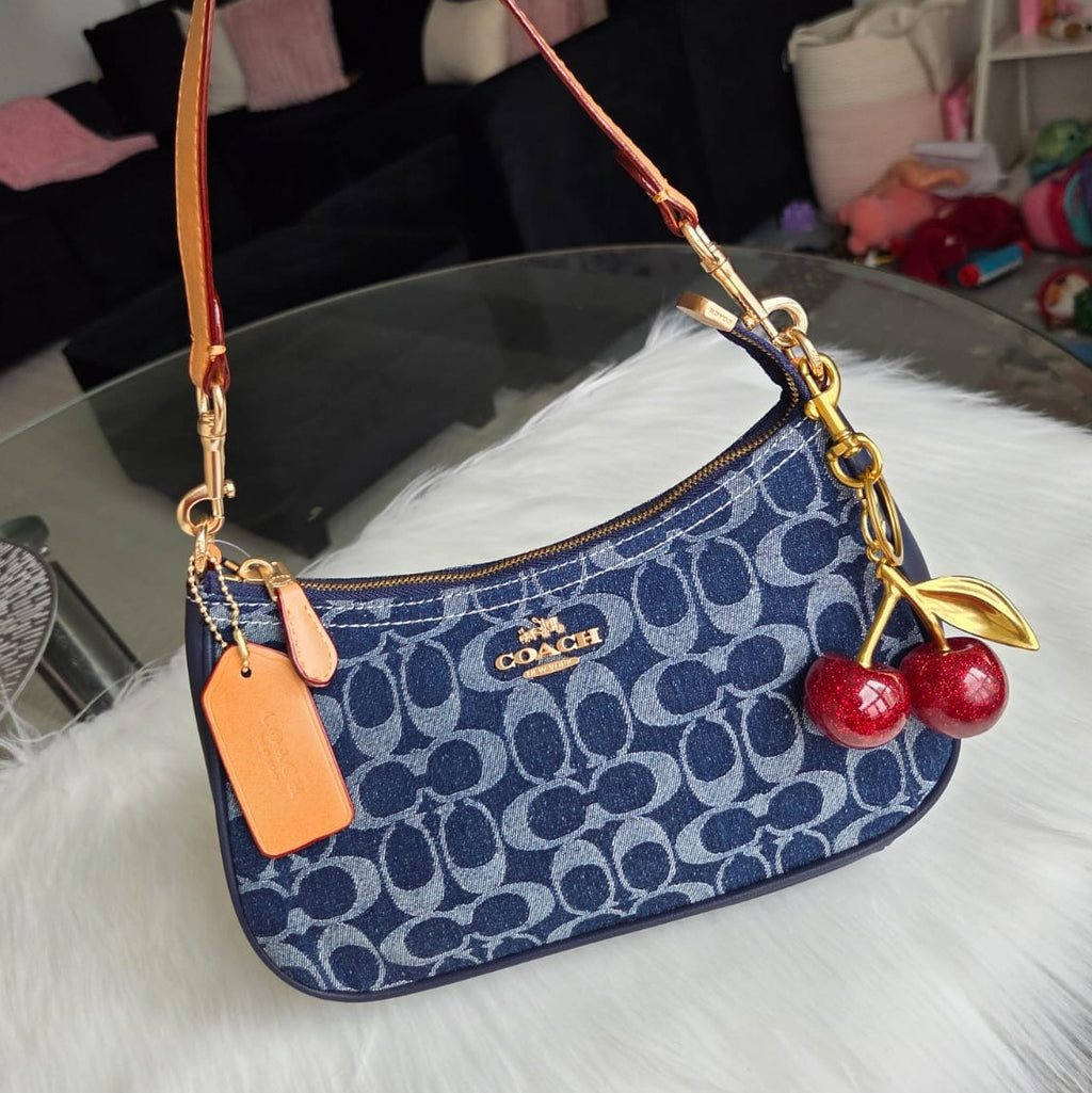 C TERI DENIM BAG on hand
