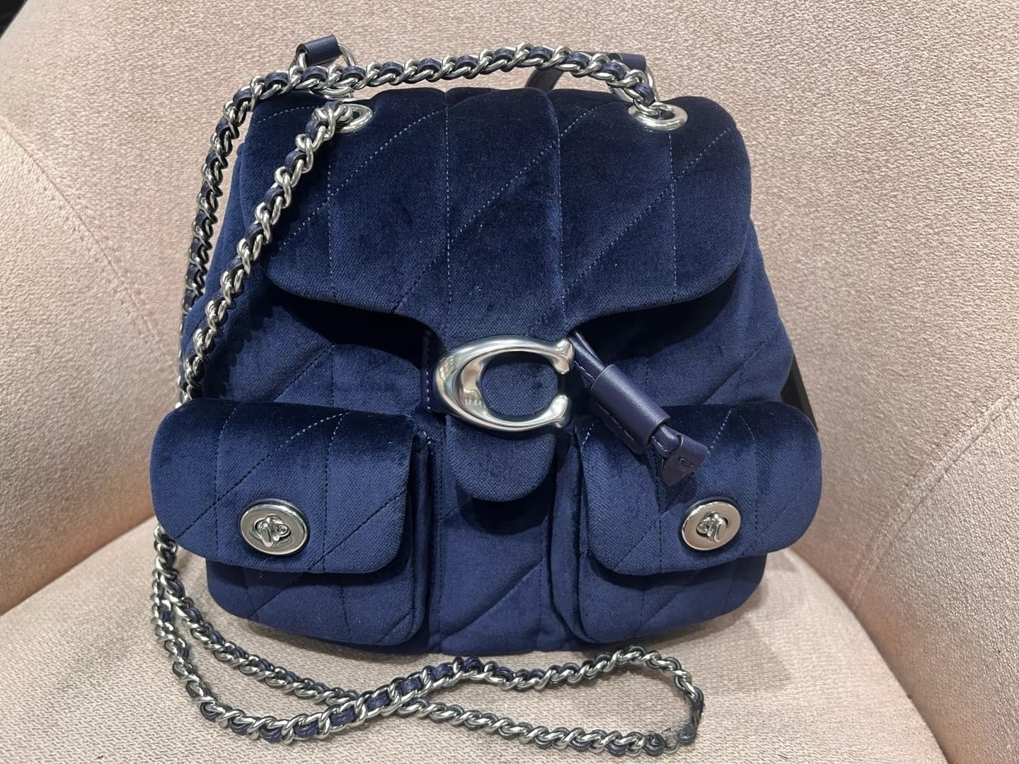 C TABBY BACKPACK